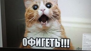 Рыма Чек - офигеть!!! Бежит за зубами...