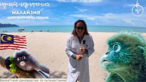 Малайзия Обзор отеля Hard Rock Hotel Penang 5*. Пенанг, Малайзия. Отель с бассейном с песком