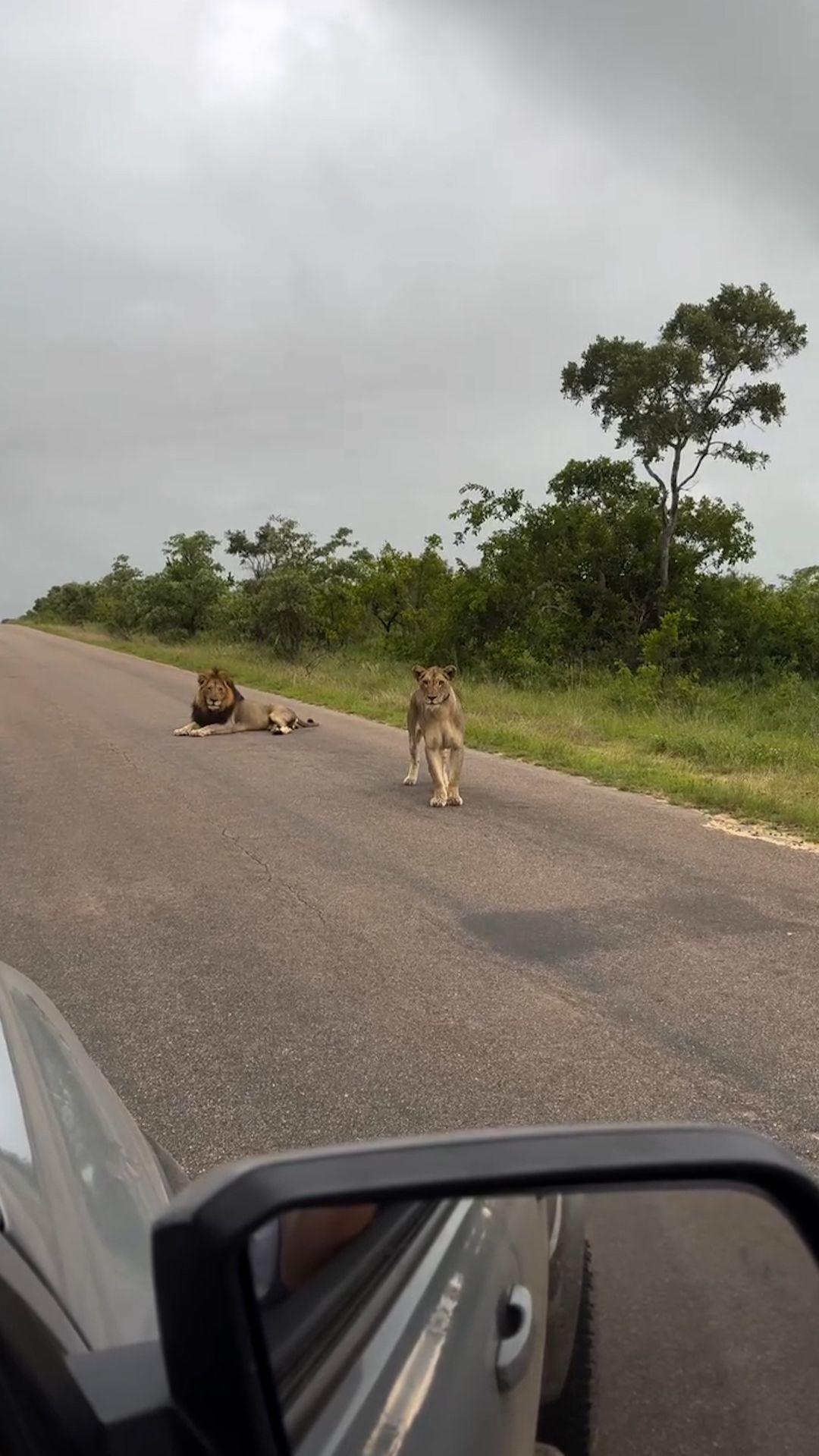 Серьёзная парочка смотреть онлайн