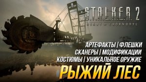 S.T.A.L.K.E.R. 2 - Рыжий лес (Все улучшения, флешки, костюмы, артефакты, оружие и сканеры)
