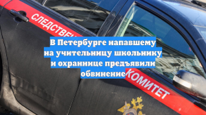 В Петербурге напавшему на учительницу школьнику и охраннице предъявили обвинение