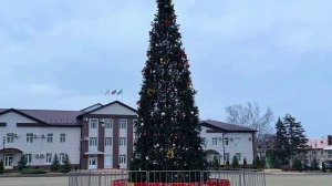 Общественные пространства Хабаровского края могут принять участие во всероссийском конкурсе Елки Рос