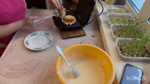 18-12-25 Венские вафли творожные.