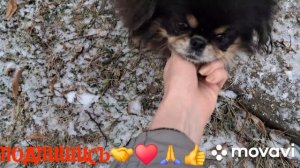 1000015327.mp4  🖋️🚀СЛУЧИЛСЯ  ПРИЯТНЫЙ СЮРПРИЗ,МОЙ ДЕНЬ 💃🔥МОИ БУДНИ 🖋️🚀