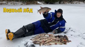 Вот это - первый лёд! Такого шикарного открытия у меня еще не было. Зимняя рыбалка 2020.