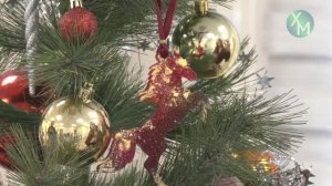 Когда лучше всего наряжать ёлку?