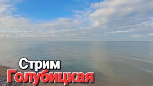 #Стрим Идеальный день Голубицкая в декабре