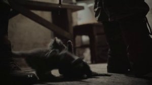 Павел Устинов – Медаль