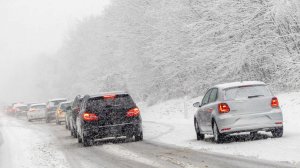 Напавший с ножом на учительницу в Петербурге школьник признал вину частично