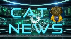 CAT NEWS 1 выпуск Grand criminal online GCO
