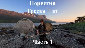 Летний отпуск в Норвегии ! Вытягиваю треску на 11 кг ! Часть 1