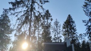 смотреть со звуком!!!