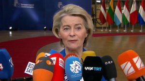 Урсула фон дер Ляйен настаивает на использовании замороженных российских активов.