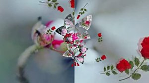 Волшебная Зимняя розовая сказка 5 от Киностудии Мудрого Кота Тимофея!