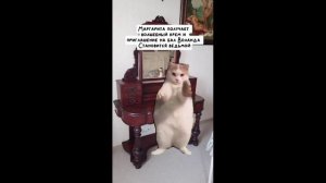 Видео 1 Булгаков Мастер и Маргарита