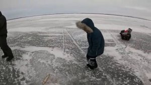 Даже в буран мы ловим судаков!