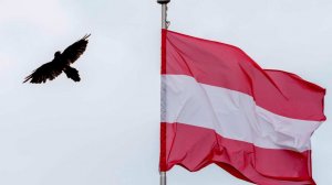 Замглавы МИД: в Австрии российских дипломатов пытаются вербовать