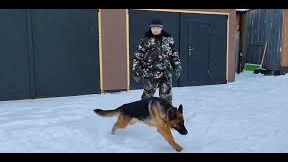 Дача Повседневные дела по хозяйству