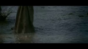 Штурм Крыма.Сиваш