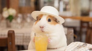 Мультики для детей . Развлекашки для детей . Развлекательный канал