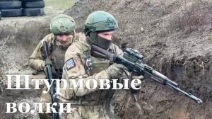 Добровольцы бригады "Волки" Южной группировки войск сорвали подвоз боеприпасов ВСУ