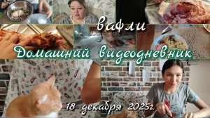 Видеодневник//вафли