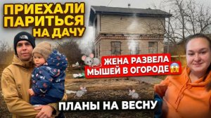 Шиндяевы: и что теперь делать?