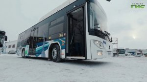 117 новых автобусов уже на линии: Самара продолжает обновлять общественный транспорт