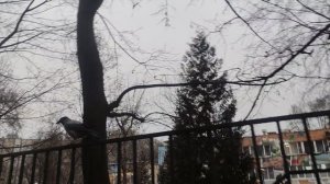 18 декабря  магический прогноз погоды от волшебника снег в пути ... творите добро....