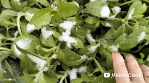 И год как день ... И день как миг... Цените то, что в жизни вашей...