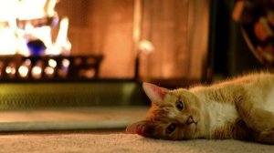 За окошком тишина (Рождественская песня)