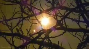 Россия новогодняя