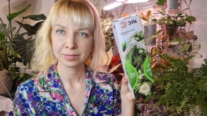 Новая бюджетная лампа для растений