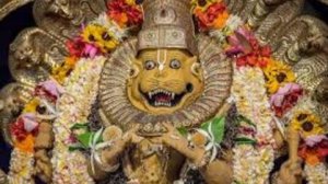 Вишва Шанти ягья 18.12.25