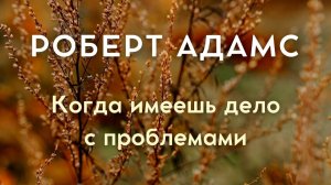 Когда имеешь дело с проблемами. Роберт Адамс