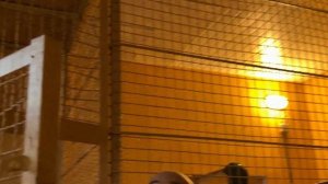 Люся со своей ревностью УМОТАЛА ВСЕХ, а Финик стал НЕУЛОВИМЫМ!