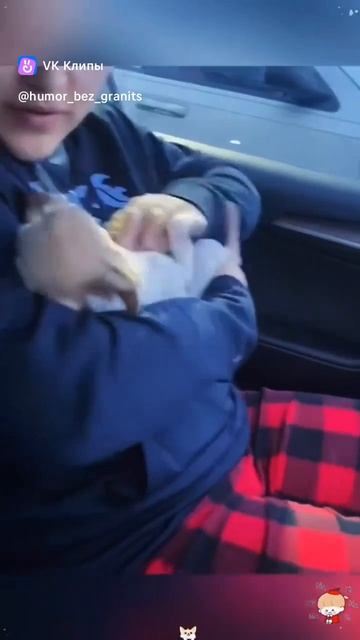 Приколы с животными