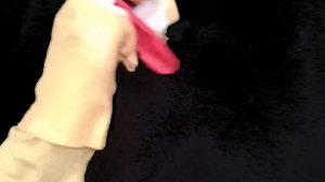 baby Einstein episode (1)baby Dollite neighborhood animals