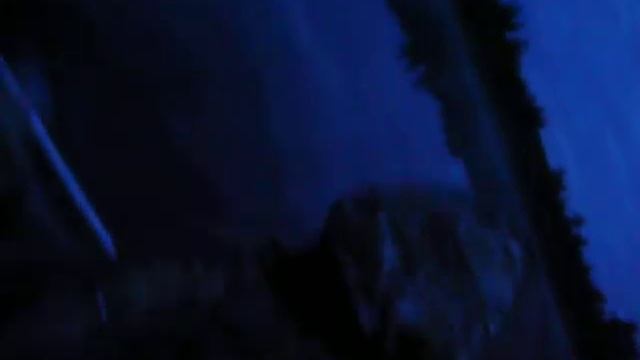 P1050621 смотреть онлайн