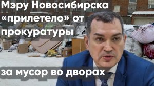 Лес рубят - щепки летят, в Новосибирске Мэрия не в курсе кто дал разрешение на вырубку!
