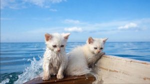 Мультики для детей . Развлекашки для детей . Развлекательный канал