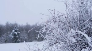 День больших перемен -18 декабря. Гороскоп.
