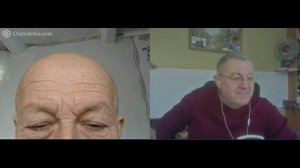 Славных прадедов великих правнуки поганые...