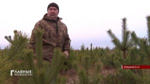 Ёлочный патруль вышел на охрану хвойных красавиц.