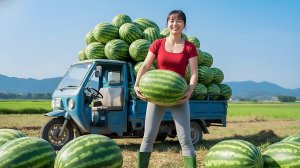 Собрала тонну арбузов и везу на грузовике на сельский рынок продавать. Фуонг. Вьетнам