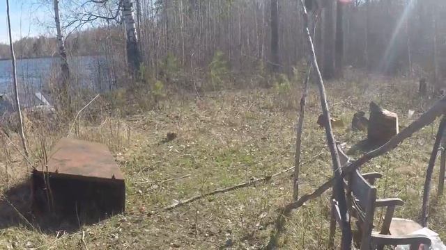 Смелая ондатра смотреть онлайн