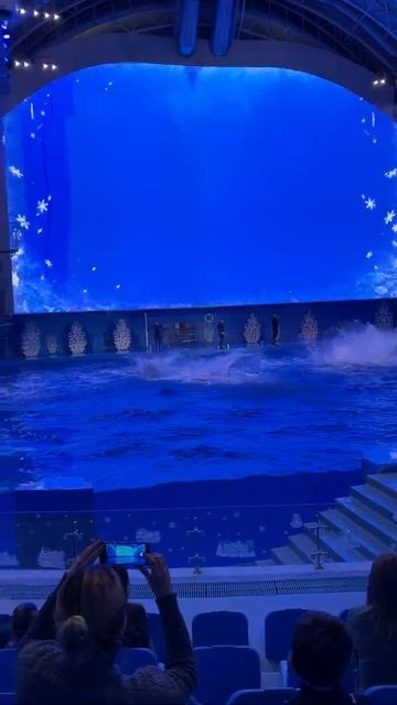 Океанариум на острове Русский, Приморье/Oceanarium on Russky Island, Primorye, 2020, part 12