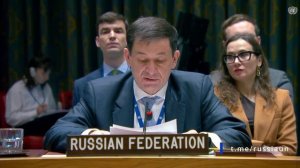 Д.А.Полянский на заседании Совета Безопасности ООН по ситуации в Сирии, Нью-Йорк, 18 декабря 2025 г.