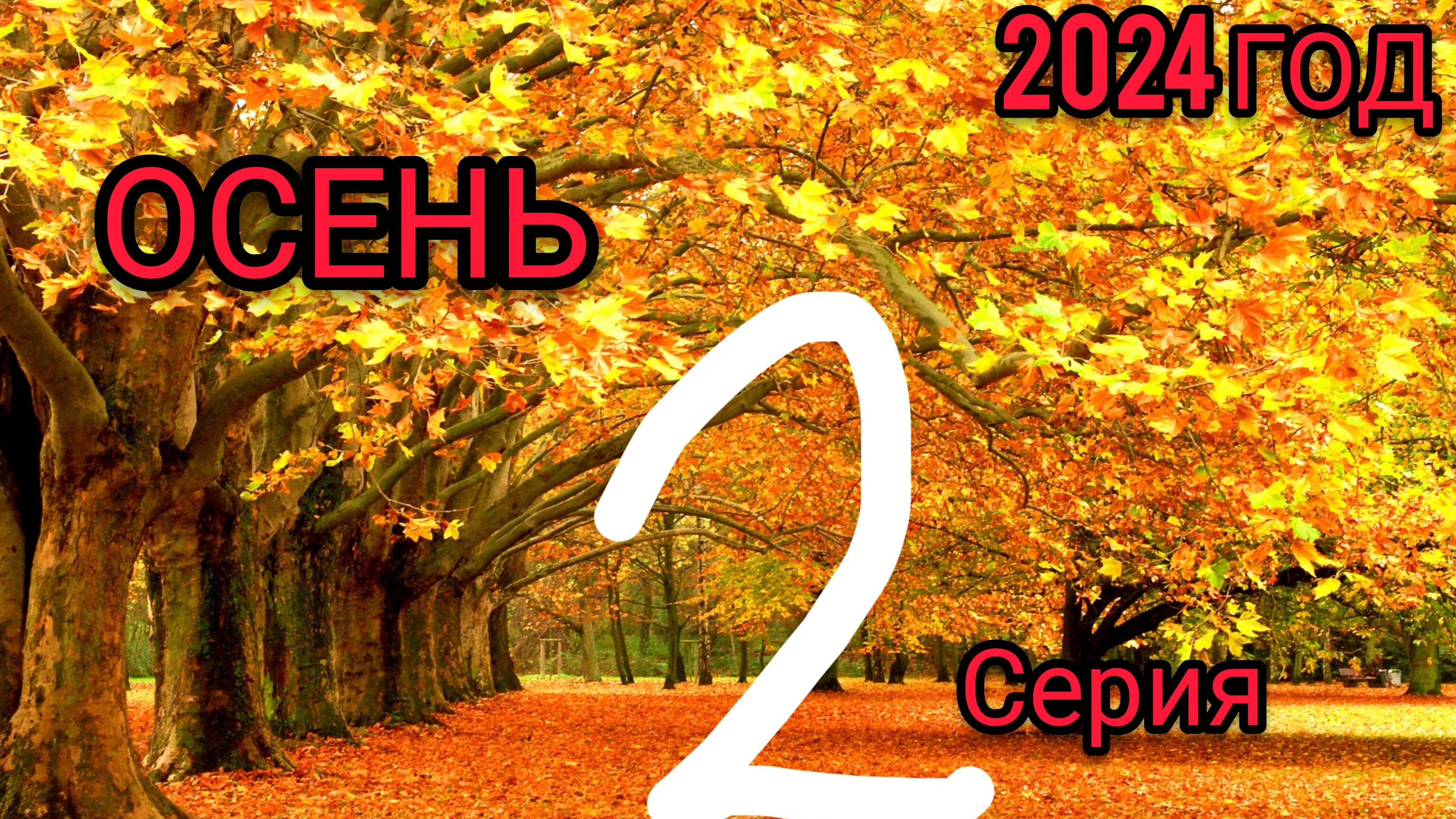 ОСЕНЬ 2 СЕРИЯ 2024 ГОД „ТРОПИНКА"😐