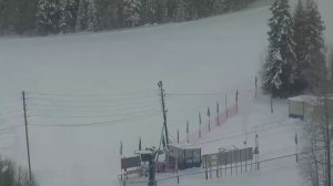 LIVE: channel39463803